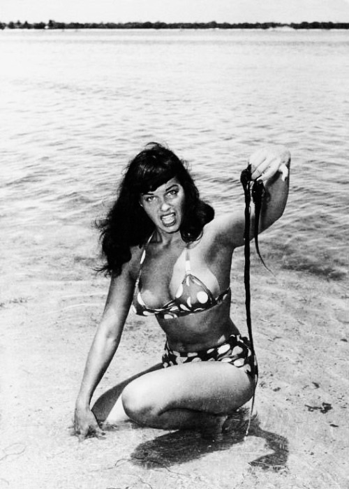 Beachcomber Bettie