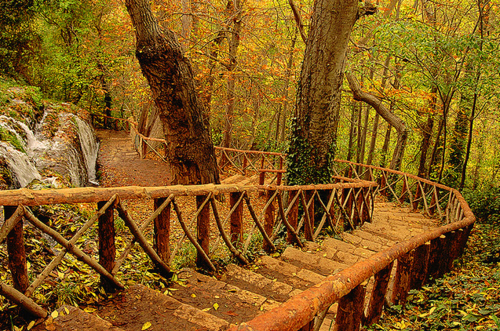 bluepueblo:  Forest Stairs, Monasterio de Piedra, Spain photo via panda 