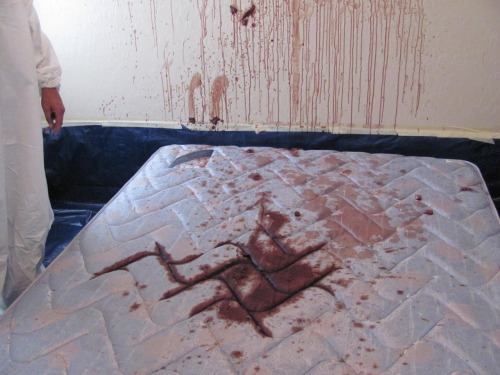 ydrogono: My bed during period