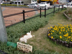 mahoshonen:  “Please do not enter the garden area.” 