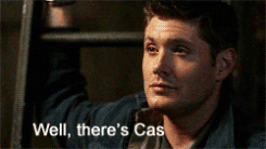 euphemology:  angelsridingintheimpala:  icoulduseinsouciantmaybe:  pineappledean: