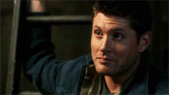 euphemology:  angelsridingintheimpala:  icoulduseinsouciantmaybe:  pineappledean:
