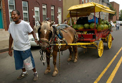 haleyfood:  Baltimore City Arabber These are hardly around anymore…