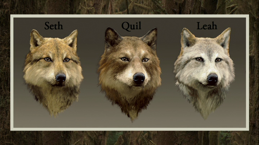 panlight — Seth Clearwater, Quil Ateara, and Leah Clearwater.