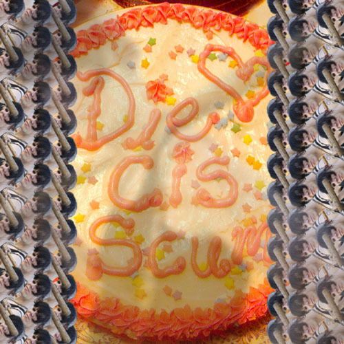 junkcompactor:  If you are cis, do my photo manipulations make you feel uncomfortable?