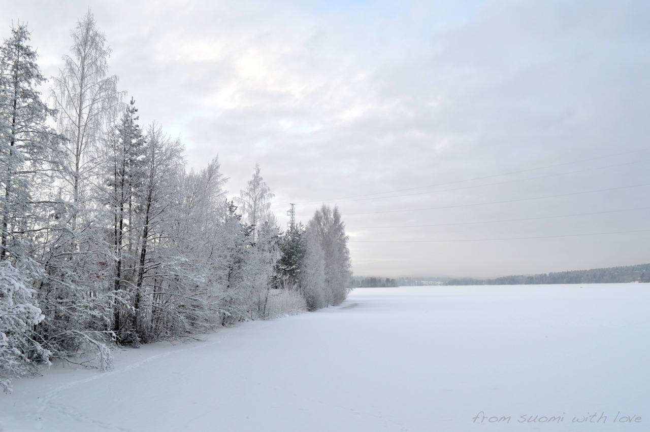 fromsuomiwithlove:
“different shades of white
”