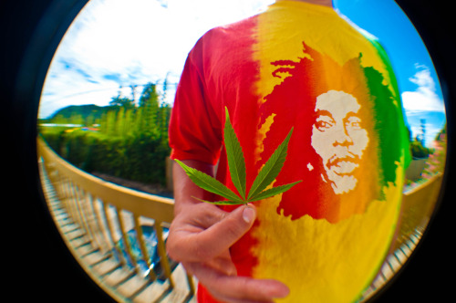 Marijuana 4:20