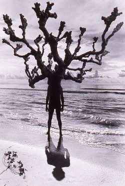 cavetocanvas: Jerry Uelsmann, Untitled (Man With Branches On Beach), 1975 