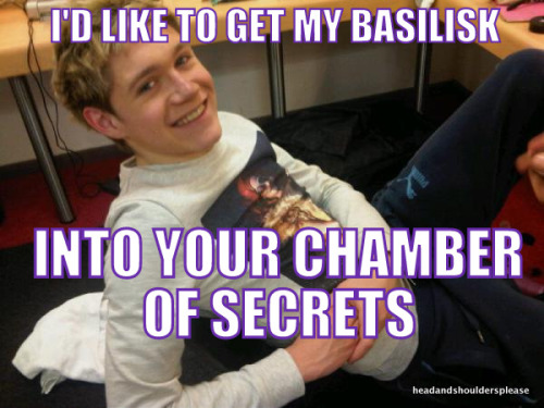 everythingislarrystylinson:  onedirectionn:  ayeliam:  headandshouldersplease:  Niall Horan uses Harry Potter pick up lines.  the last one lmfao  The laugh I just laughed was not human..  WHAT SHE SAID ^ 