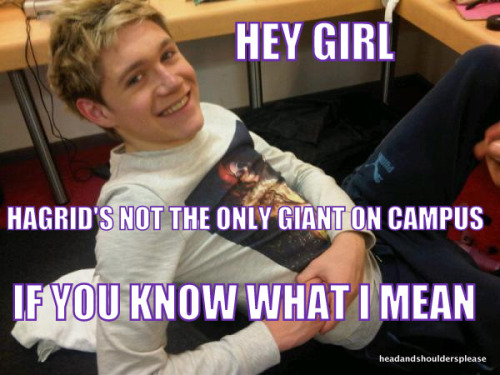 everythingislarrystylinson:  onedirectionn:  ayeliam:  headandshouldersplease:  Niall Horan uses Harry Potter pick up lines.  the last one lmfao  The laugh I just laughed was not human..  WHAT SHE SAID ^ 