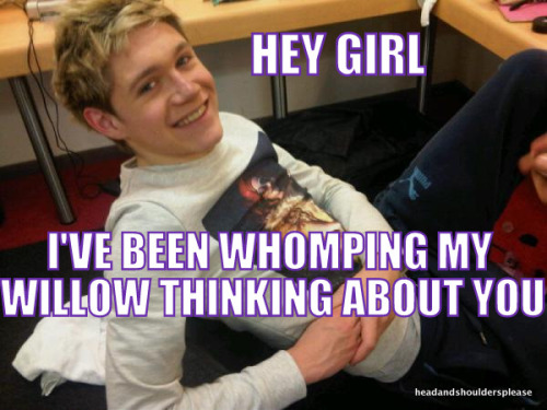 everythingislarrystylinson:  onedirectionn:  ayeliam:  headandshouldersplease:  Niall Horan uses Harry Potter pick up lines.  the last one lmfao  The laugh I just laughed was not human..  WHAT SHE SAID ^ 