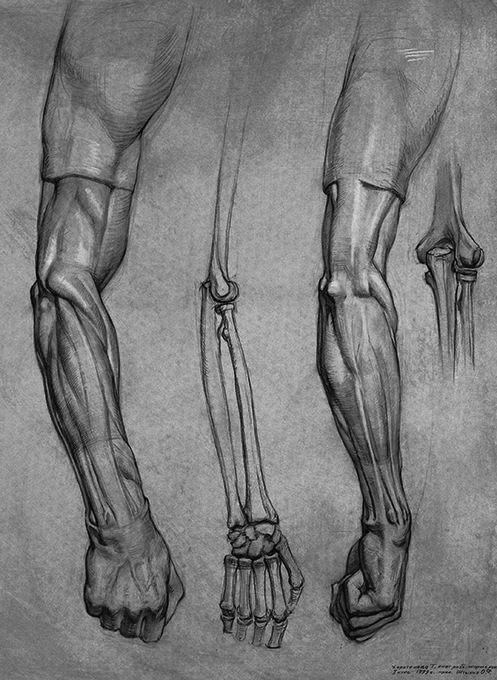 eyecager:  Also where the ref I had pinned up in the previous post came from. Source- http://vkontakte.ru/album-16966189_139714254 Hit Загрузить оригинал на диск to get the biggest size of the images. 