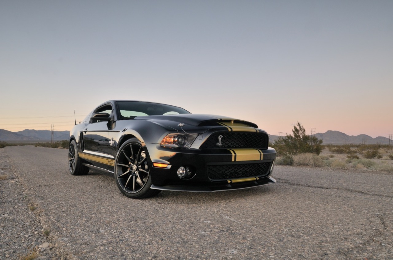 fuckyeahmustang:  Shelby American unleashes 50th Anniversary limited edition GTS,