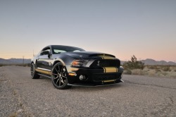 fuckyeahmustang:  Shelby American unleashes