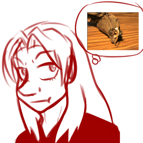 10:19 PM - Lune (ºxº): what should i draw 10:19 PM - Wave Race 64: ichijou