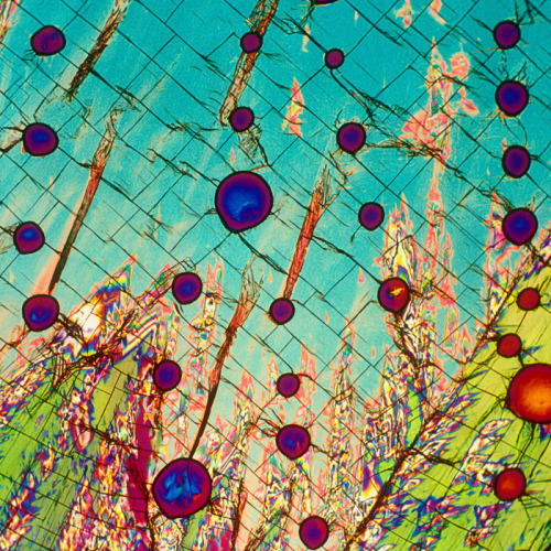 moronicbeauty:  Cola, Tequila and Vodka via BevShots BevShot is a photograph of alcohol under a microscope. 