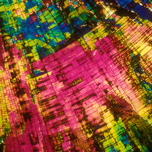 moronicbeauty:  German Light Lager, Gin and Tonic, and Irish Pale Lager by BevShots BevShot is a photograph of alcohol under a microscope. 