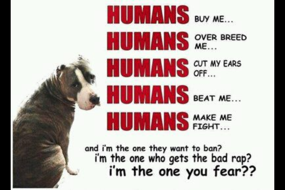 glutenfreemama:  This needs to make its way around Tumblr if it hasn’t already.