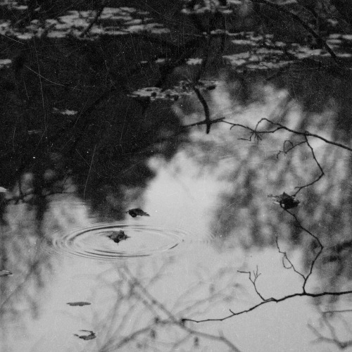 diacetyl-morphine.tumblr.com/post/16022270653/