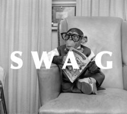 swaglock:  SWAG 