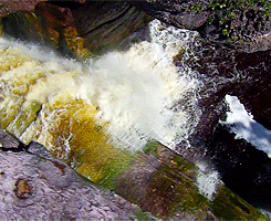 Porn Pics  lehandstrom:   Angel Falls  ”The highest