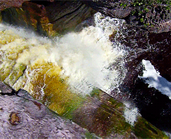  lehandstrom:   Angel Falls  ”The highest waterfall in the world. Its waters drop unbroken for almost a 1000 metres. Such is the height of these falls that long before the waters reaches the base in the Devil’s Canyon, it’s blown away as a fine