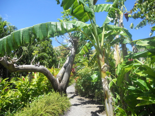 erusolcnefree:Walking through the Clay Plantation Gardens was like stepping into a world full of enc