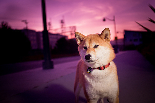 gofuckingnuts:  m0ther fuck3r on We Heart It. http://weheartit.com/entry/20913823