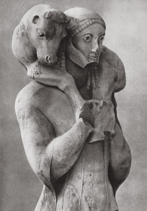 pinacotheca-blog:The Moschophoros Calf-bearer, c. 560 BCE, Acropolis museum