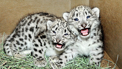  awwwl they look so happy :D