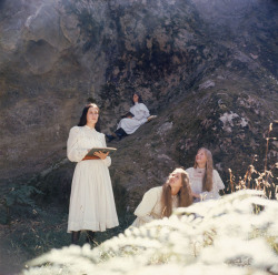 strangewood:Picnic at Hanging Rock // dir. Peter Weir
