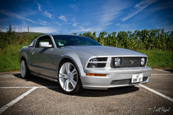 puremuscle:  Ford Mustang GT (by Kalou Studio)