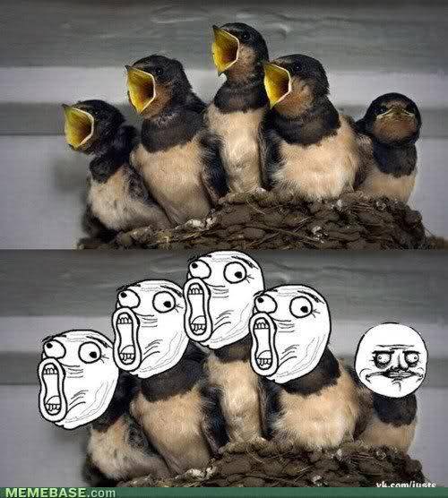 the-absolute-funniest-posts:  Follow this blog, you will love it on your dashboard