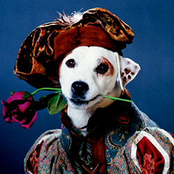 I REMEMBER WISHBONE