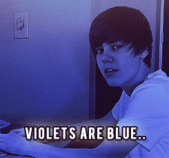 I will Never say Never