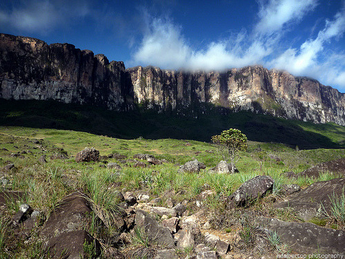 hellyeahvenezuela:  Mount Roraima (by Adalbertop) 
