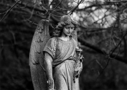 lunamatomicus:  Angel statue in Church Road