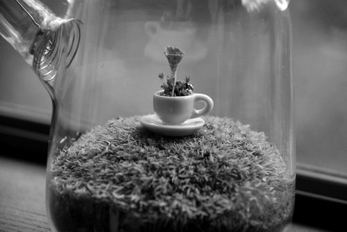 Memento Mori