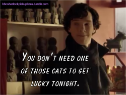 “You don’t need one of those cats to get lucky tonight.”