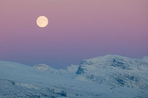 Porn photo pyrrhic-victoria:  Moon over The Blue Mountains
