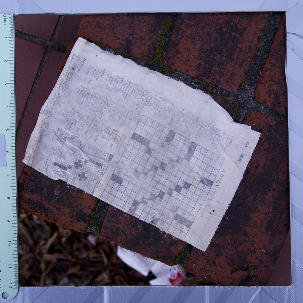 Wet newspaper crossword puzzle on bricks outside post office, N Ivanhoe St.