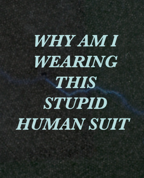 Driven Through Sanity