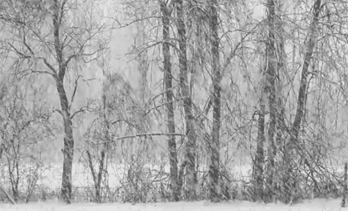 pupukachoo:  arythusa:  Mallory: So I herd you needed snow shots for your film  I