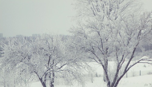 pupukachoo:  arythusa:  Mallory: So I herd you needed snow shots for your film  I