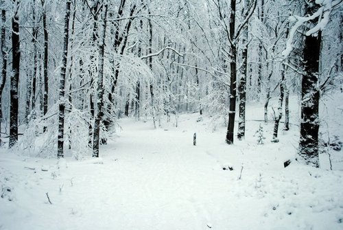 pupukachoo:  arythusa:  Mallory: So I herd you needed snow shots for your film  I
