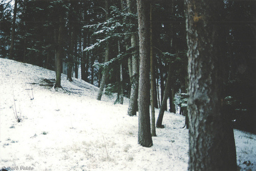 pupukachoo:  arythusa:  Mallory: So I herd you needed snow shots for your film  I