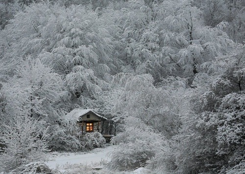 pupukachoo:  arythusa:  Mallory: So I herd you needed snow shots for your film  I