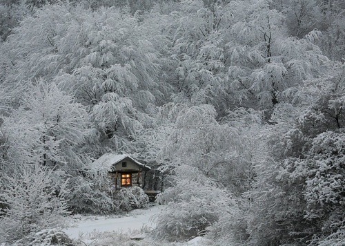 pupukachoo:  arythusa:  Mallory: So I herd you needed snow shots for your film  I also just nee snow shots in my life.