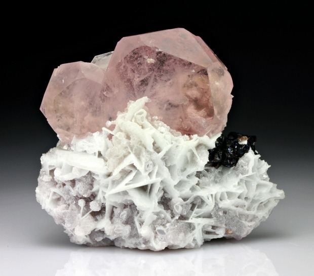 Beryl var. Morganite with Tantalite, & Albite from Afghanistan