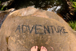 optimisticmitch:  I went on an adventure